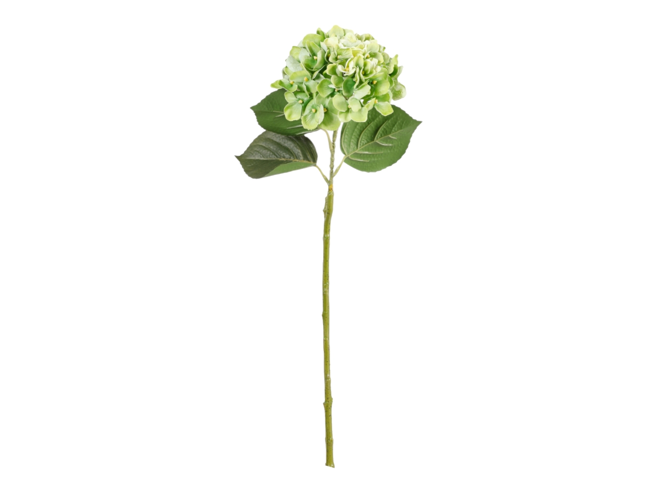 ORTENSIA 82CM VERDE A32930_17 ORTENSIA 82CM VERDE A32930_17