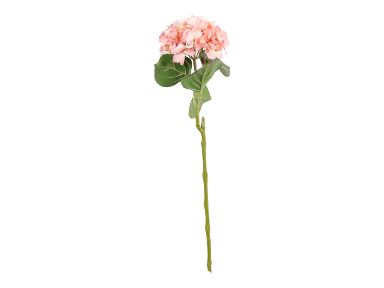 ORTENSIA 82CM PESCO A32930_22 ORTENSIA 82CM PESCO A32930_22