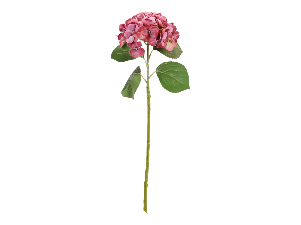 ORTENSIA 82CM FUCSIA A32930_23 ORTENSIA 82CM FUCSIA A32930_23