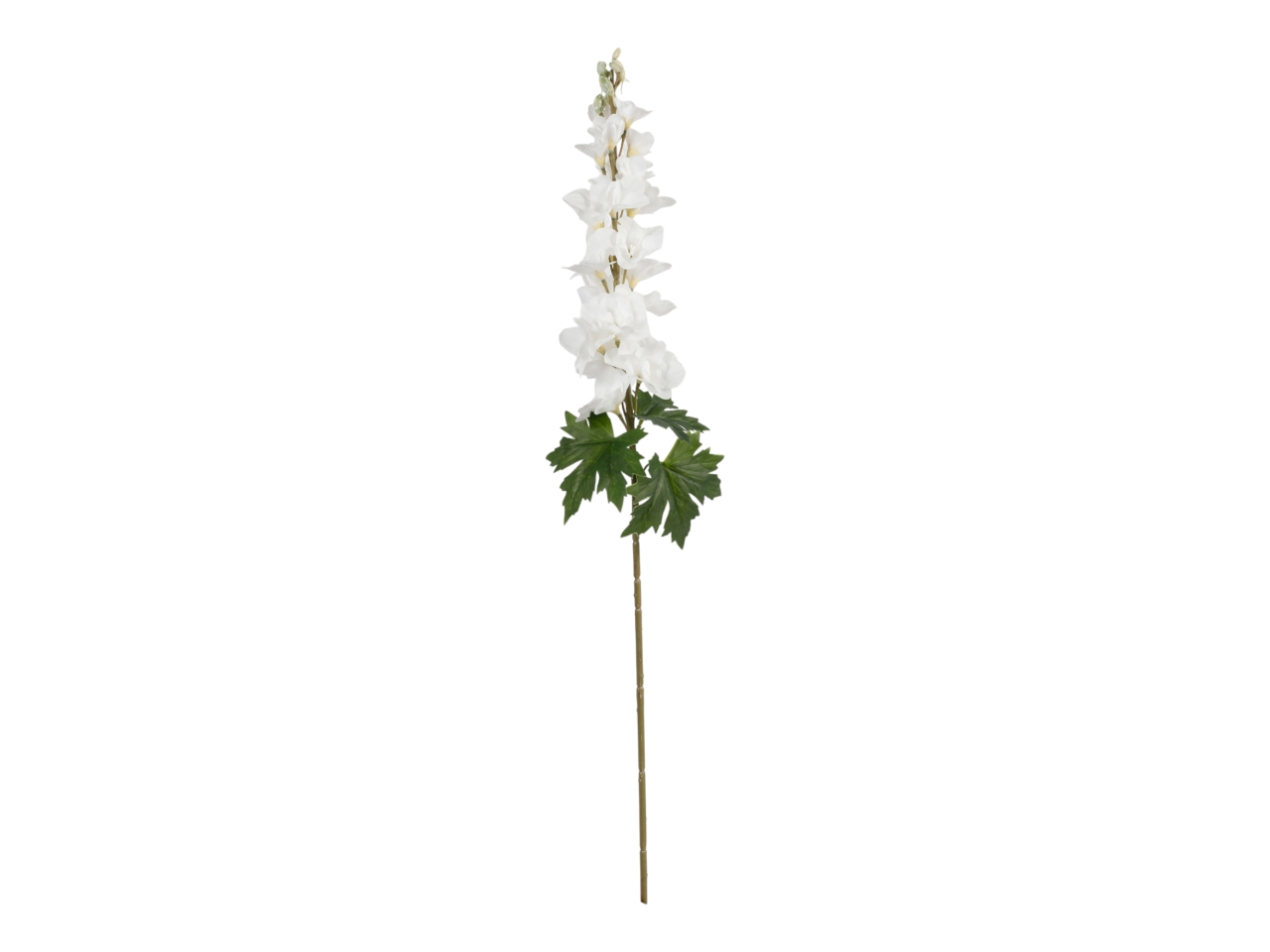 DELPHINIUM 90CM BIANCO A32931_03