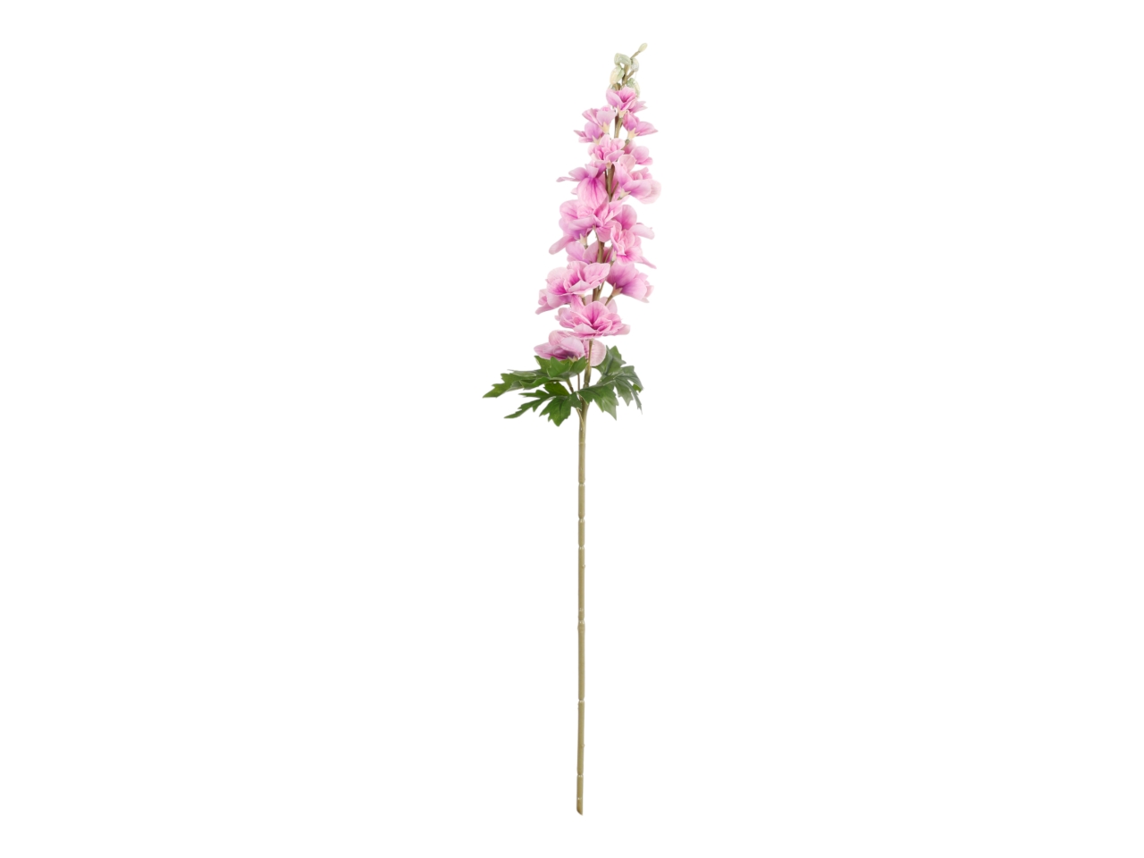 DELPHINIUM 90CM ROSA A32931_04