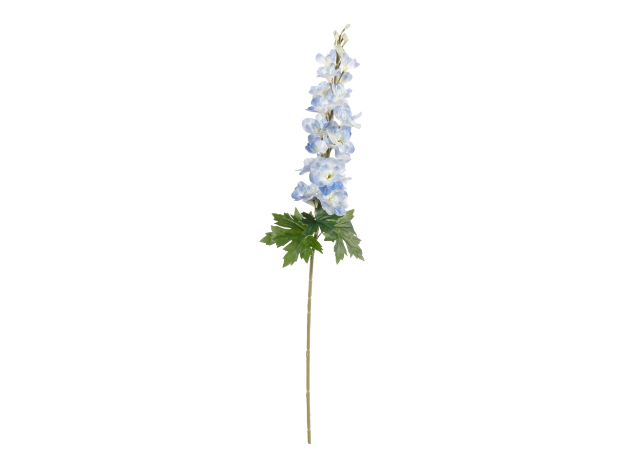 DELPHINIUM 90CM BLU A32931_09