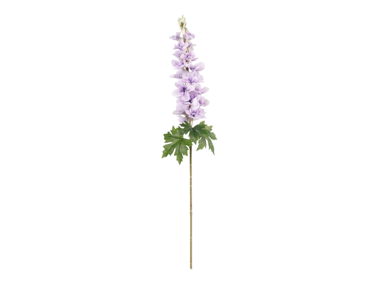 DELPHINIUM 90CM LILLA A32931_12