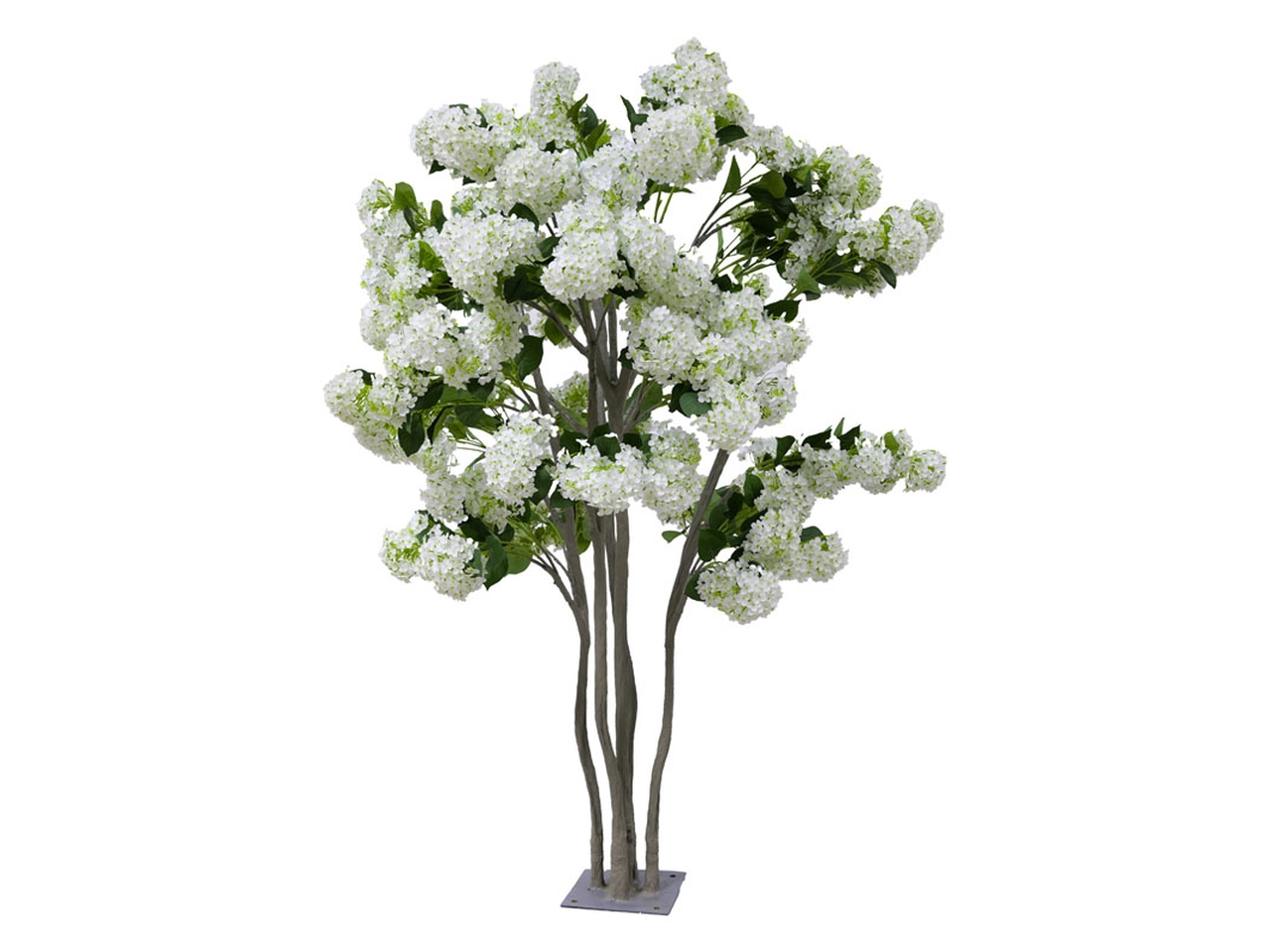 ALBERO ORTENSIE D.170X230CM BIANCO 143265