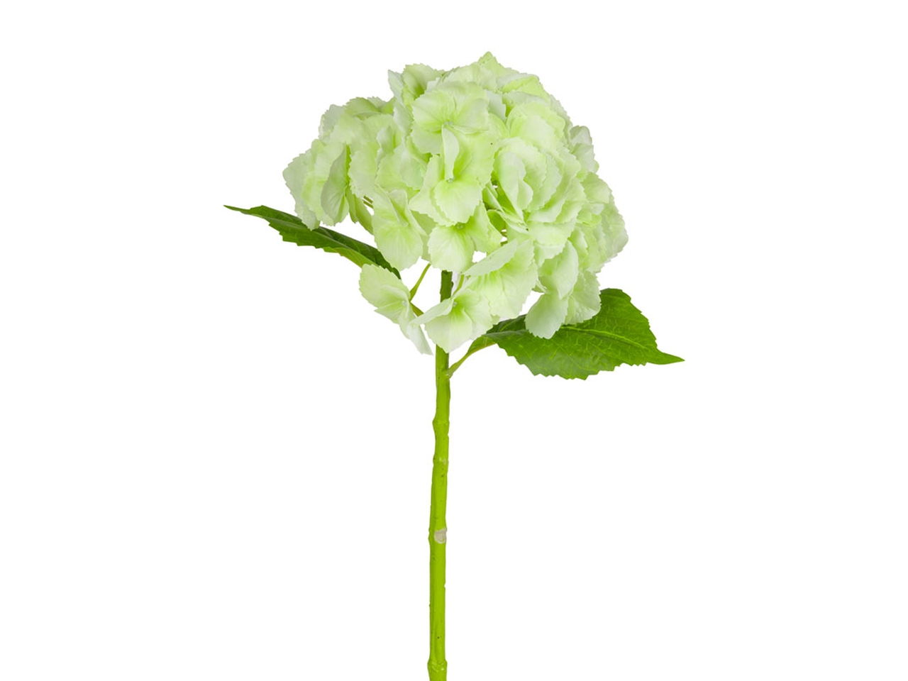 ORTENSIA D.20X60CM VERDE 144122 ORTENSIA D.20X60CM VERDE 144122