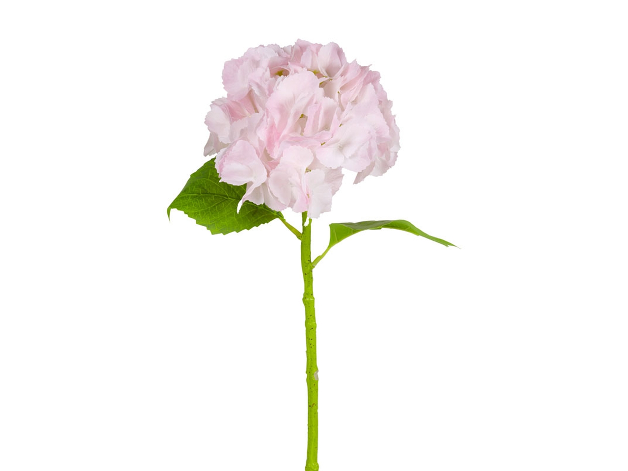 ORTENSIA D.20X60CM ROSA 144124 ORTENSIA D.20X60CM ROSA 144124