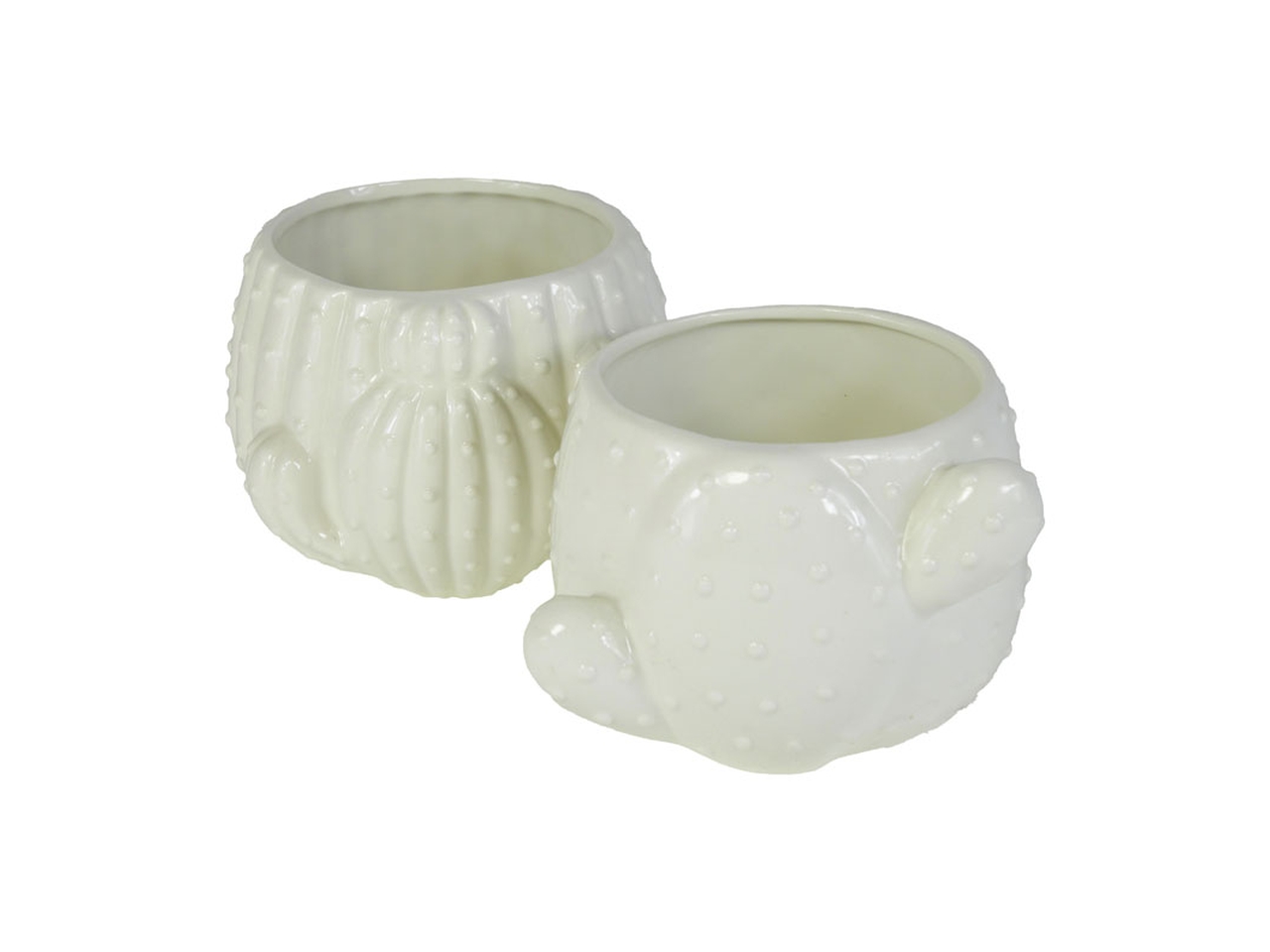 VASO CACTUS CERAMICA 15X13X10CM 2ASS. BIANCO144880 VASO CACTUS CERAMICA 15X13X10CM 2ASS. BIANCO144880