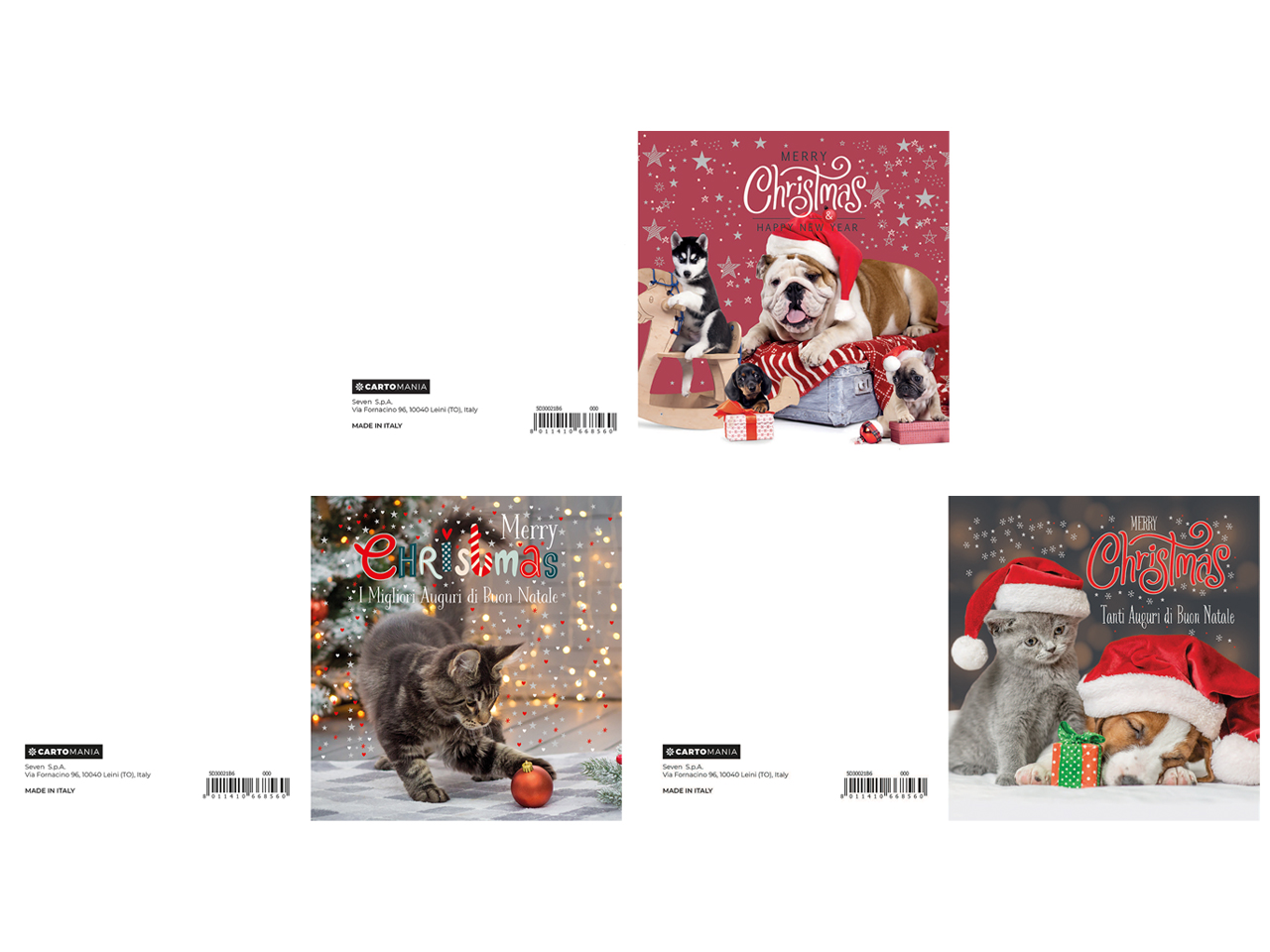 BIGLIETTO 11X11 ANIMALI CARTOMANIA 5D30021B6-000