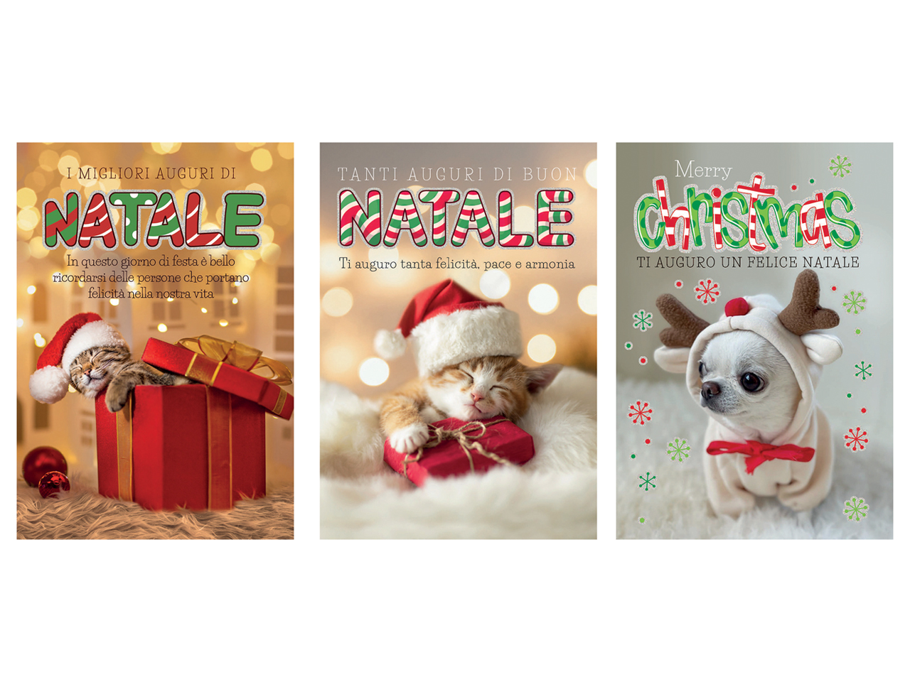 BIGLIETTO 9X14 ANIMALI CARTOMANIA 90D302473-000