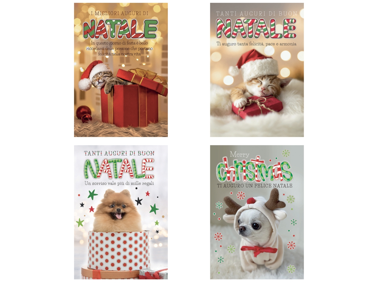 BIGLIETTO NATALE ANIMALI CARTOMANIA 90D302445-000
