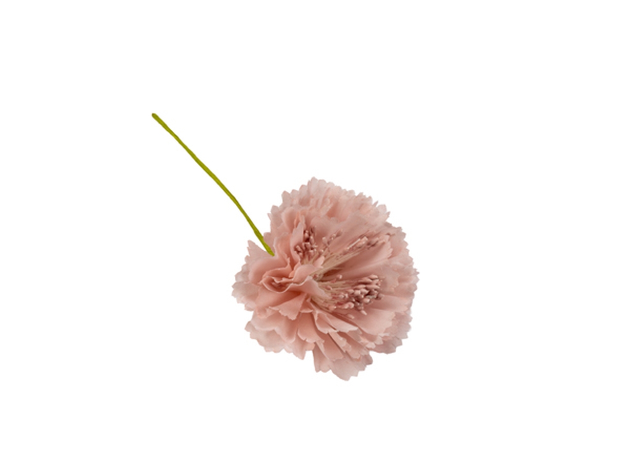 GAROFANO 6PZ ROSA ANTICO FB2450 05 GAROFANO 6PZ ROSA ANTICO FB2450 05