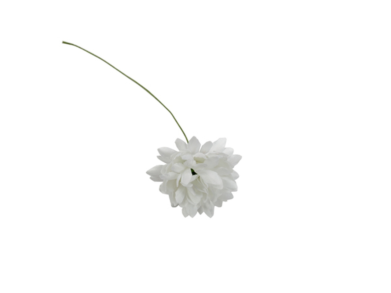 DALIA 36PZ BIANCO FB2408 01 DALIA 36PZ BIANCO FB2408 01