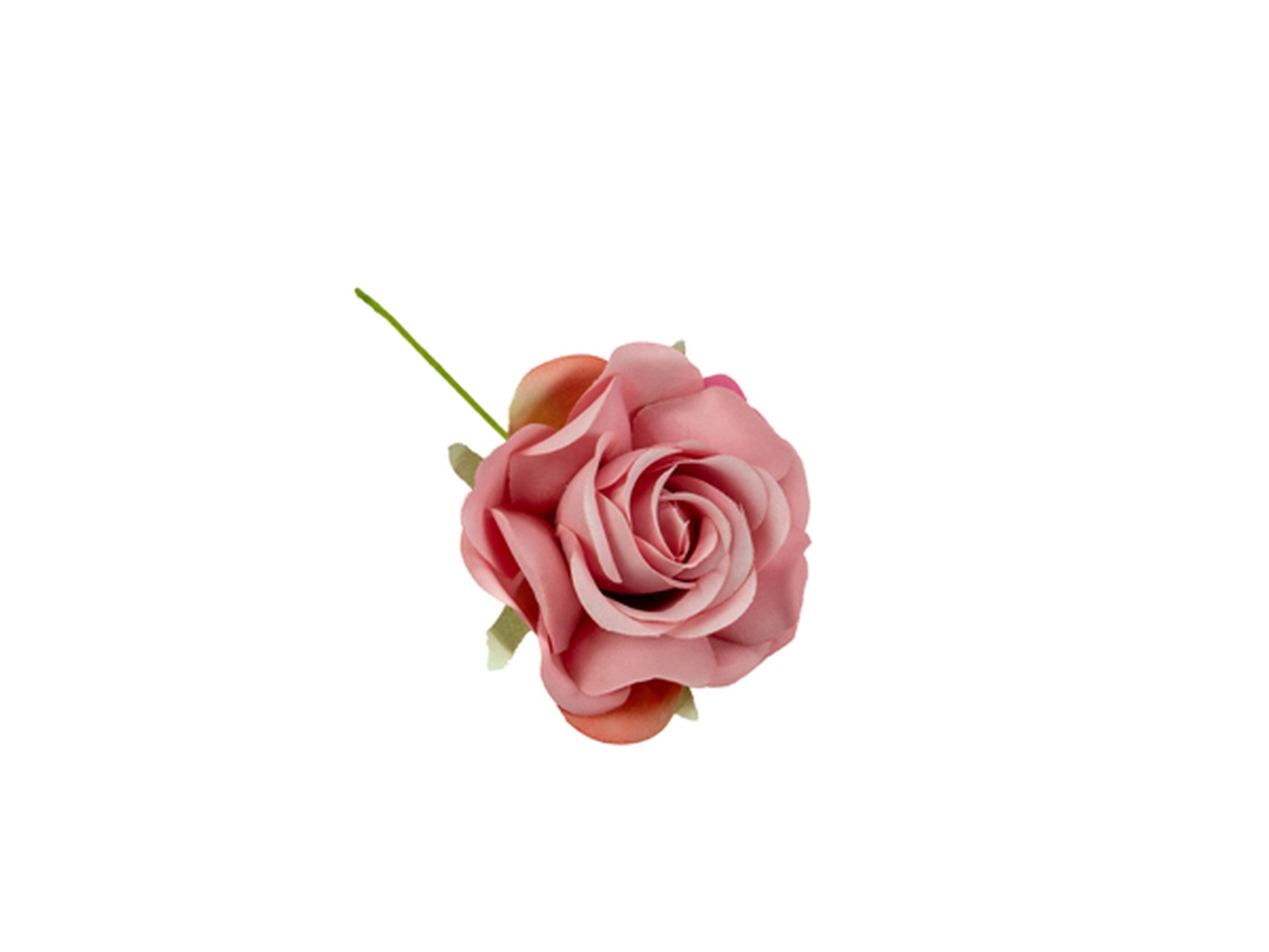 ROSA BOCCIOLO 12PZ ROSA ANTICO FB2415 05