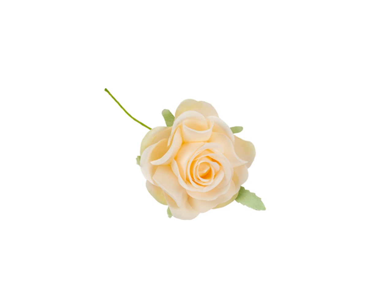 ROSA BOCCIOLO 12PZ CIPRIA FB2415 27