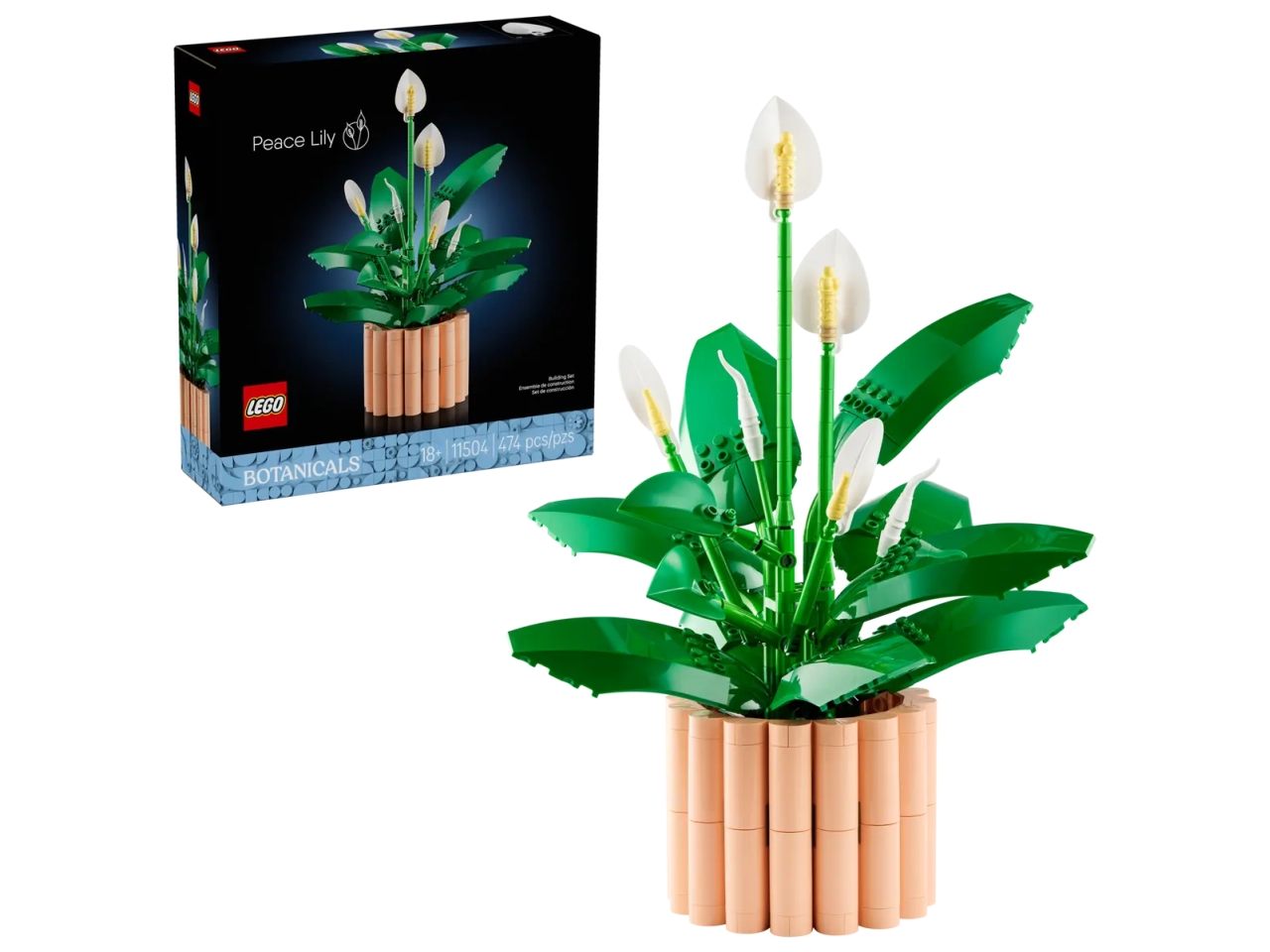 LEGO BOTANICALS SPATIFILLO 11504