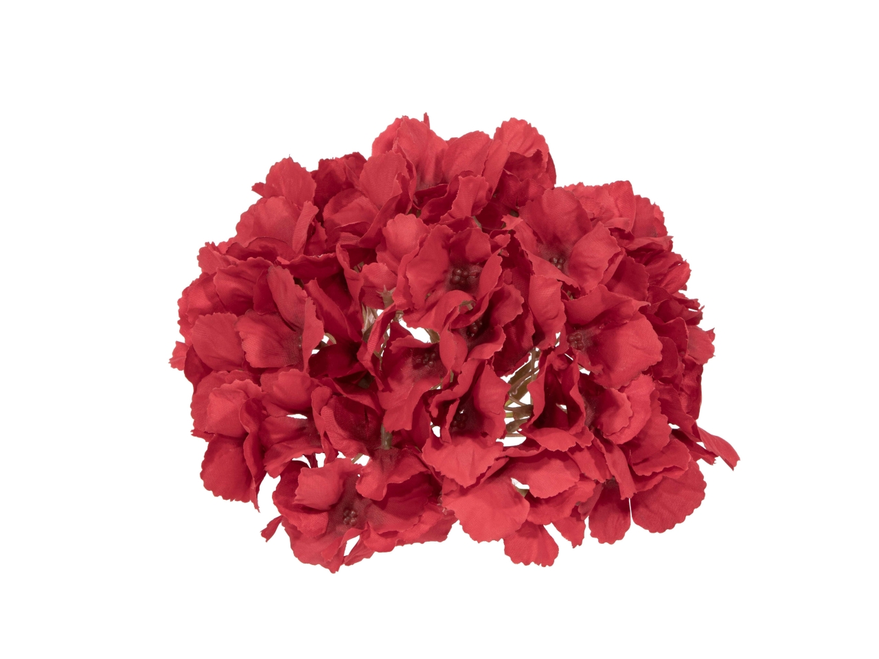 ORTENSIA GIGANTE D.18CM ROSSO F283 08 ORTENSIA GIGANTE D.18CM ROSSO F283 08