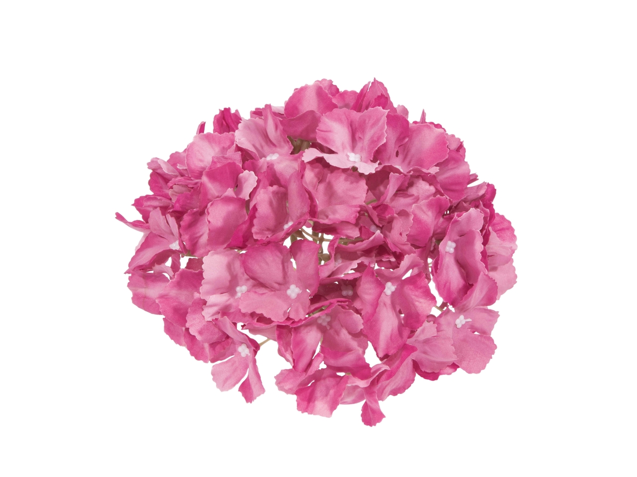 ORTENSIA GIGANTE D.18CM FUCSIA F283 12 ORTENSIA GIGANTE D.18CM FUCSIA F283 12