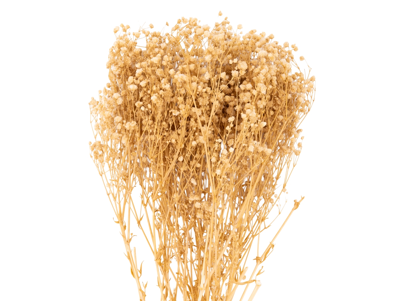 MAZZETTO GYPSOFILA NATURALE M/GYP NAT MAZZETTO GYPSOFILA NATURALE M/GYP NAT