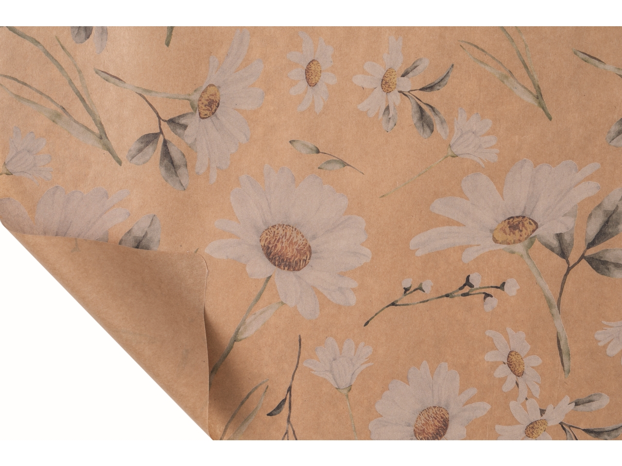 BOBINA MARGARITAS 80CMX20MT PAPER B-J55SC-LL0XX