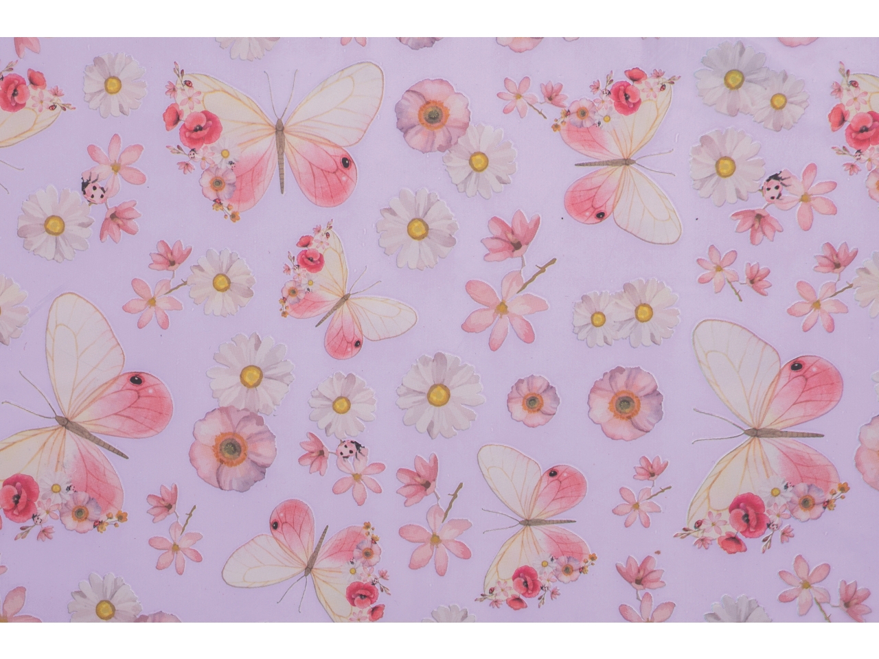 BOBINA ALISSA MAT 1X25MT LAVANDA B-J58XX-XL2LA BOBINA ALISSA MAT 1X25MT LAVANDA B-J58XX-XL2LA