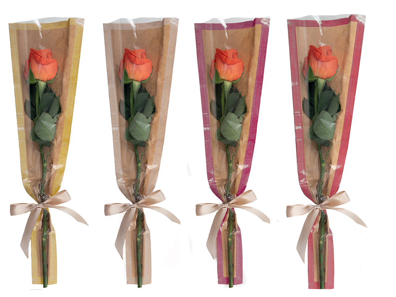 BUSTE CONICHE KELLY 50PZ 15X5X70CM C-C24KNNUEFRO