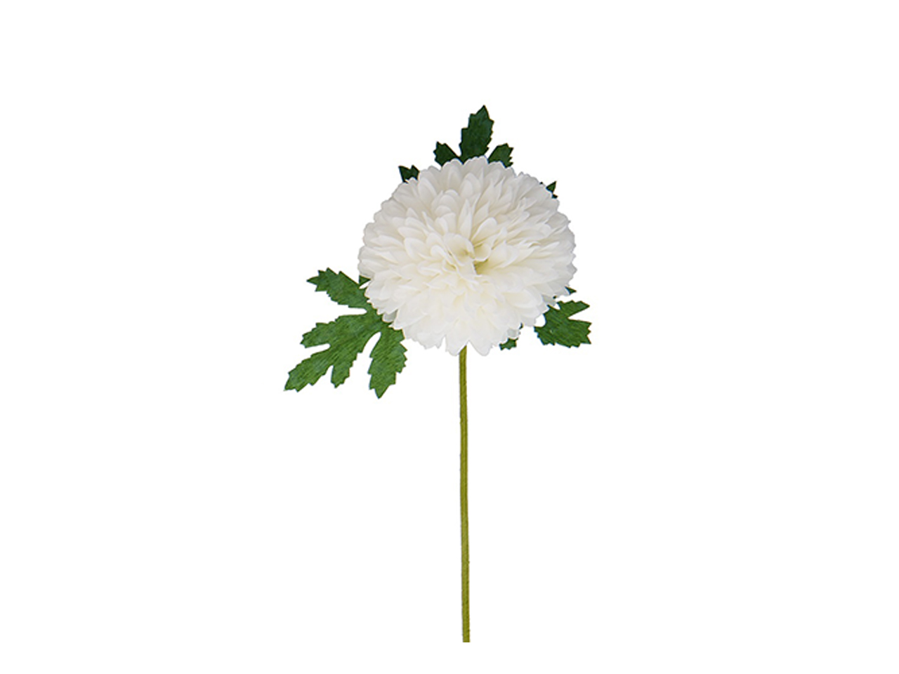 DALIA D.7CM 12PZ BIANCO ACZ752/W