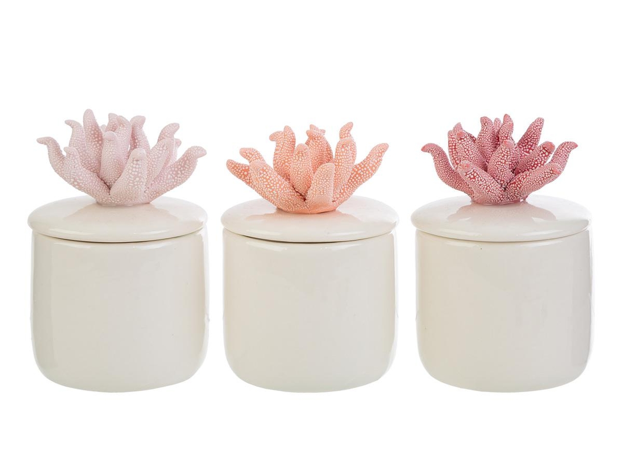 SCATOLA CORALLO 6X6XH.8,5CM CON ASTUCCIO 158168 SCATOLA CORALLO 6X6XH.8,5CM CON ASTUCCIO 158168