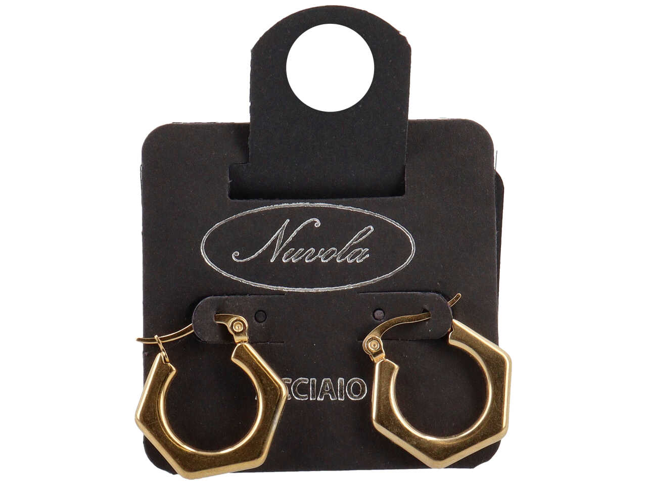 CERCHI PENTAGONO ORECCHINIO CERCHI PENTAGONO ORECCHINIO