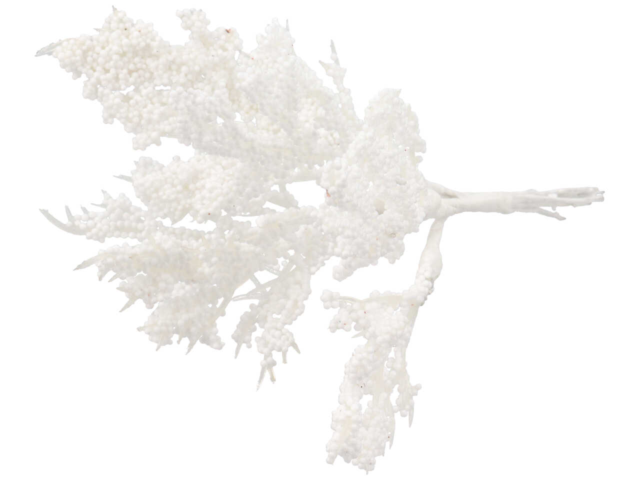 MAZZETTO 6 CORALLI BIANCHI 140CM 228757M