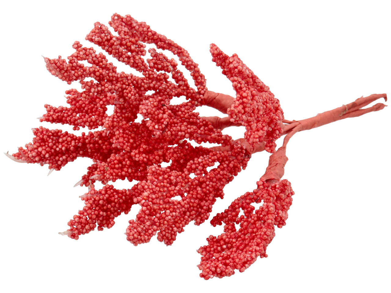 MAZZETTO 6 CORALLI 140CM 228758M