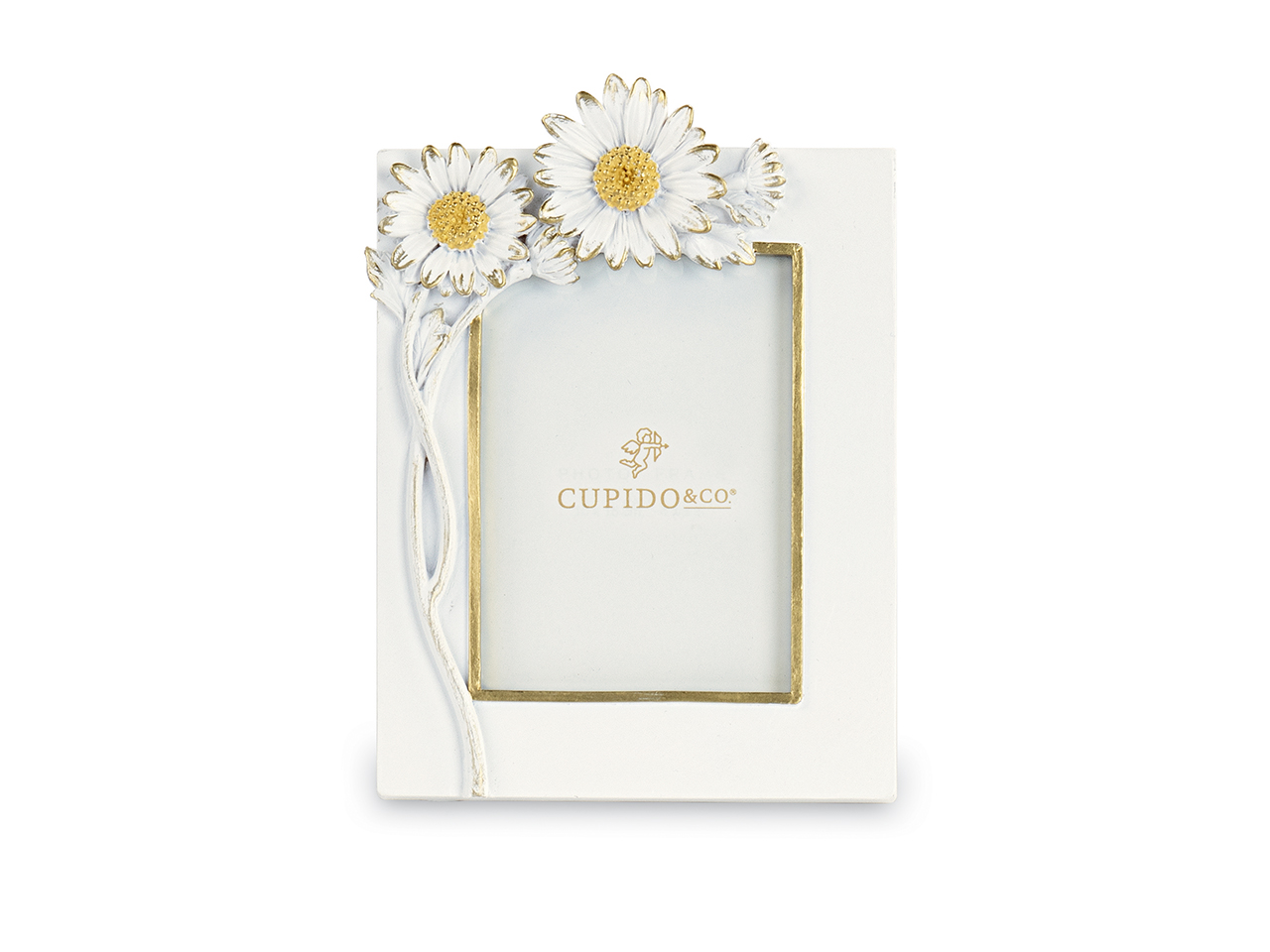 PORTAFOTO MARGHERITE C/SCATOLA 100X135CM 200341M PORTAFOTO MARGHERITE C/SCATOLA 100X135CM 200341M