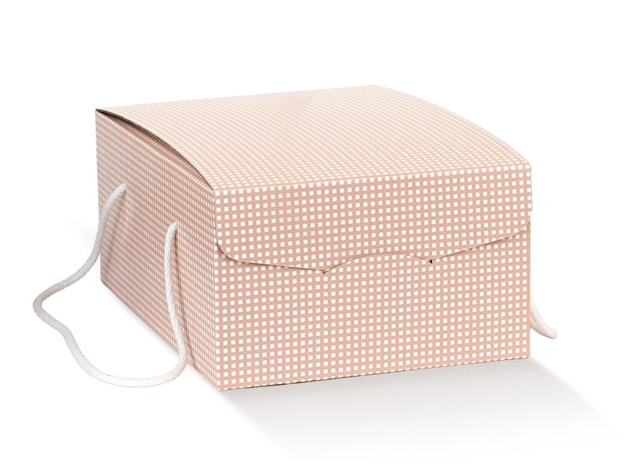 QUADRETTI PESCA SEGRETO 33,5X23,5X14CM 100206S