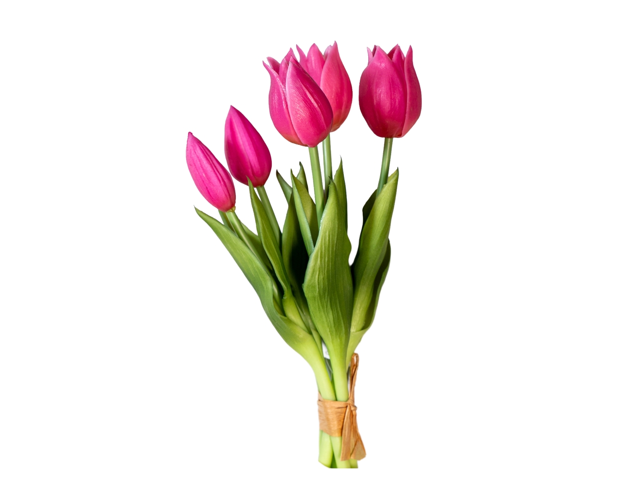 MAZZO TULIPANI 25CM BEAUTY 2680624-57 MAZZO TULIPANI 25CM BEAUTY 2680624-57