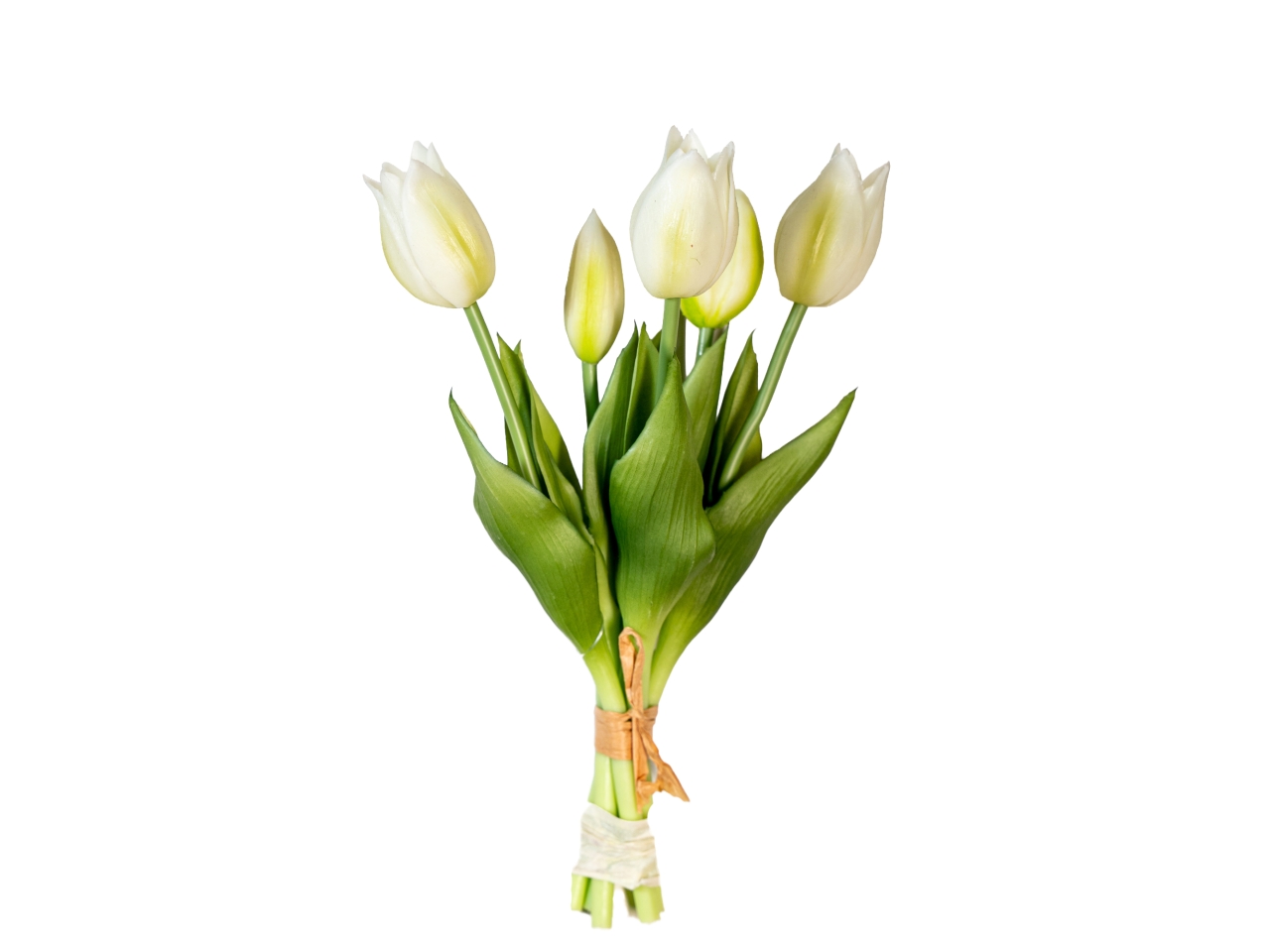 MAZZO TULIPANI 25CM BIANCO 2680624-36 MAZZO TULIPANI 25CM BIANCO 2680624-36