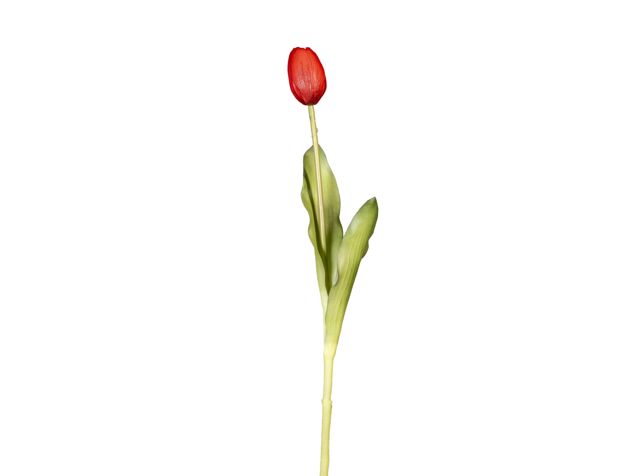 TULIPANO 40CM REAL TOUCH ROSSO 18120007-03