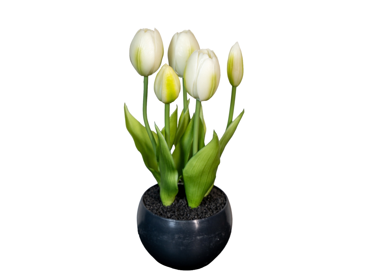 MAZZO TULIPANI 24CM BIANCO 2680622-36 MAZZO TULIPANI 24CM BIANCO 2680622-36
