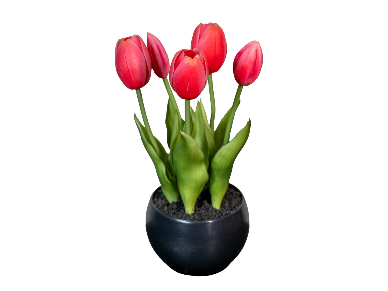 MAZZO TULIPANI 24CM ROSA SCURO 2680622-16 MAZZO TULIPANI 24CM ROSA SCURO 2680622-16