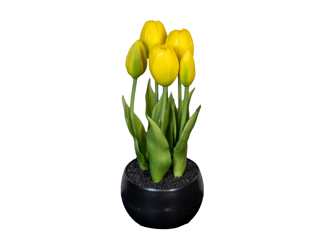 MAZZO TULIPANI 24CM GIALLO 2680622-13 MAZZO TULIPANI 24CM GIALLO 2680622-13