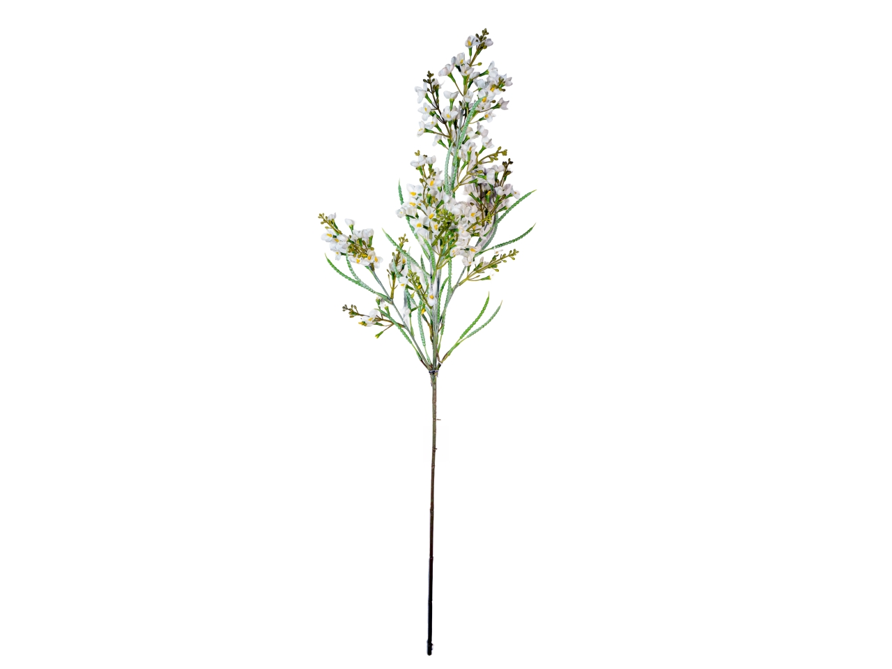 FIORE DI RAPA 83CM BIANCO 2700393-36 FIORE DI RAPA 83CM BIANCO 2700393-36
