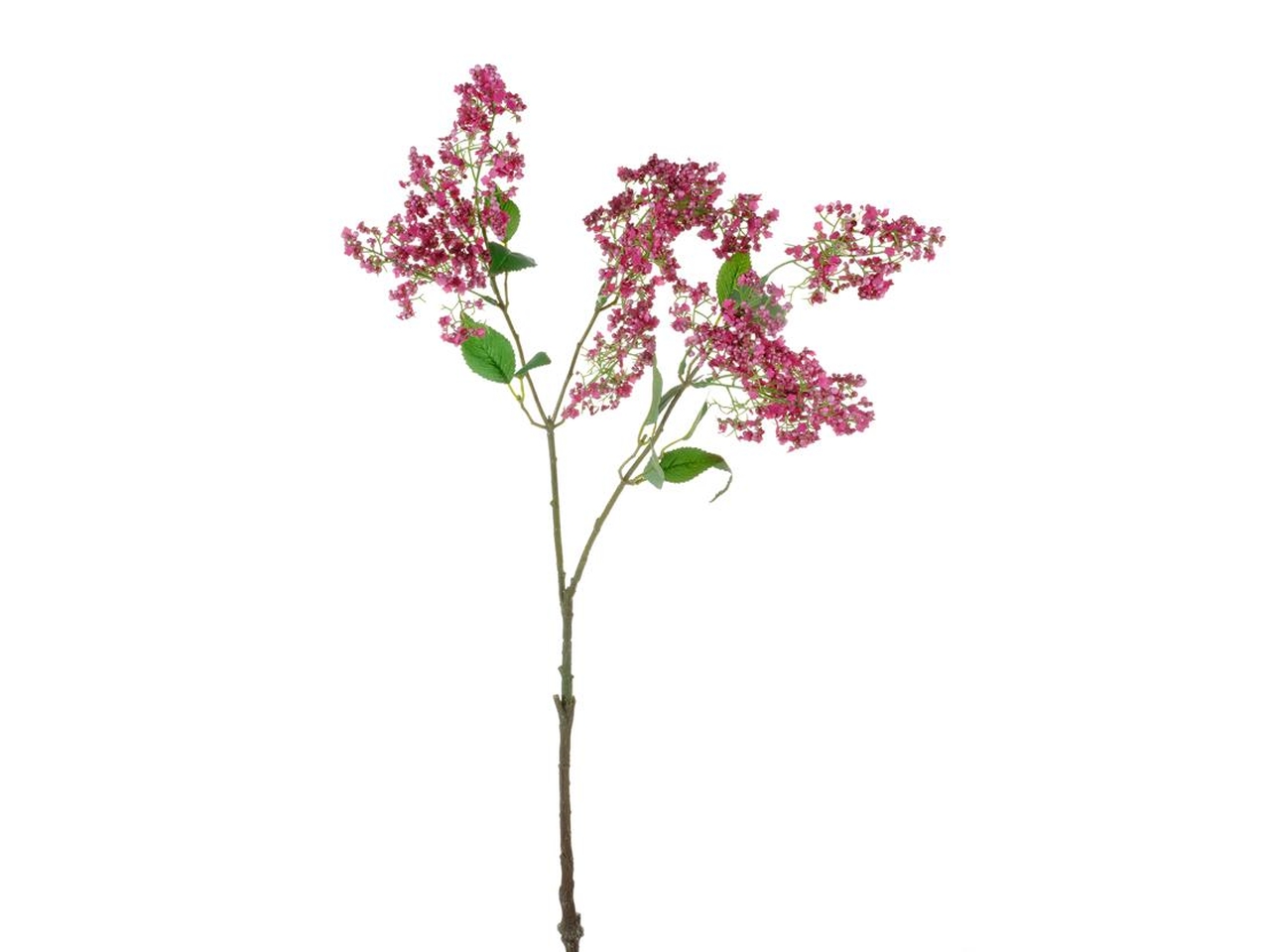 RAMO LILLA’ FUCSIA 2680053-12 RAMO LILLA’ FUCSIA 2680053-12