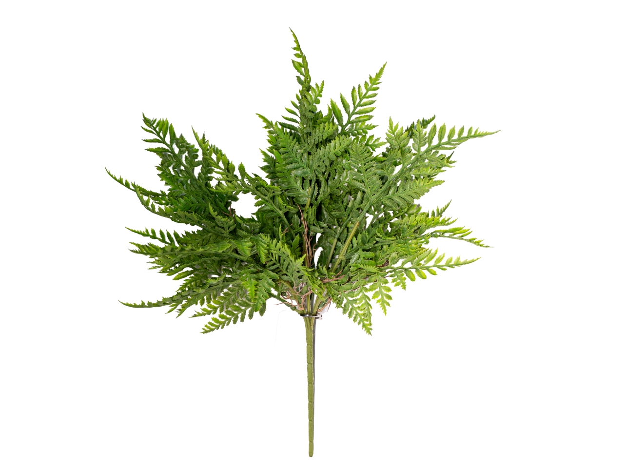 MAZZO FELCE 35CM VERDE 40080059-01