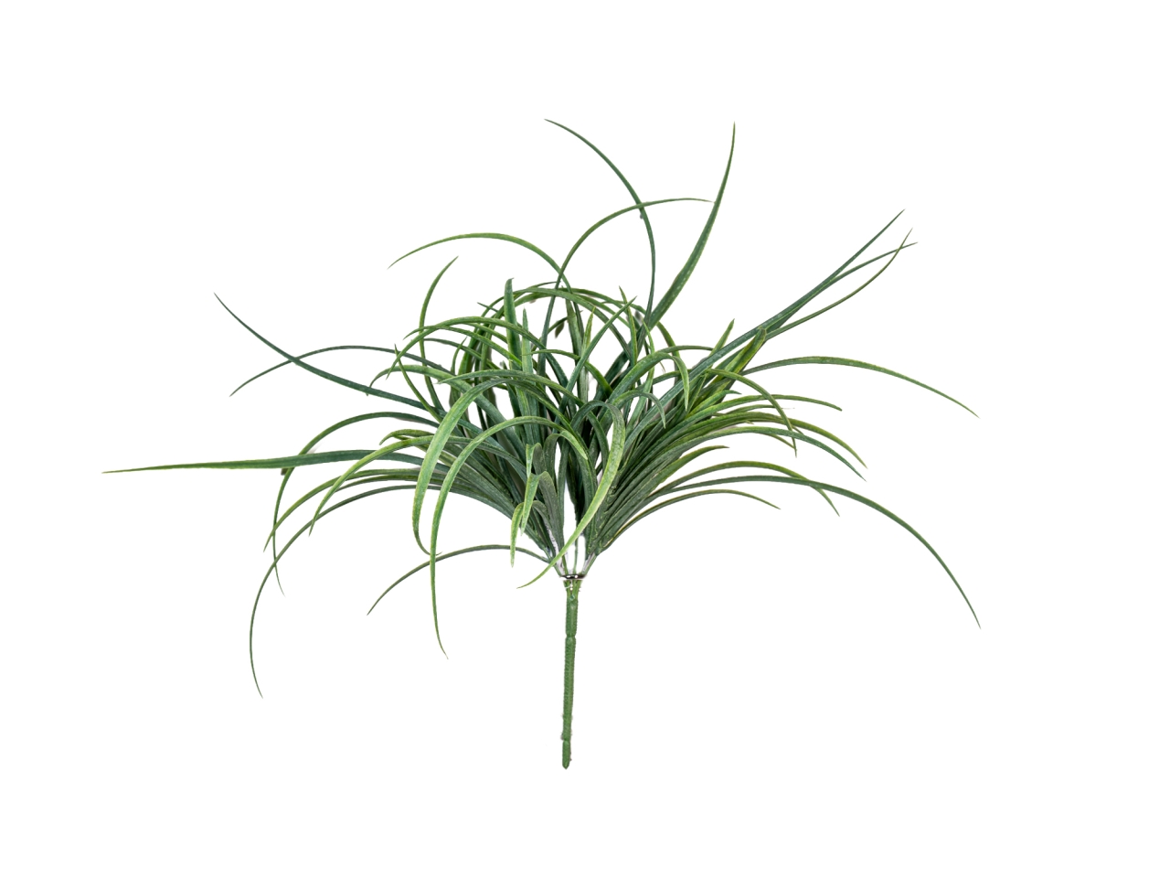 MAZZO ERBA ORSO 45CM BRINATO 18360012-27