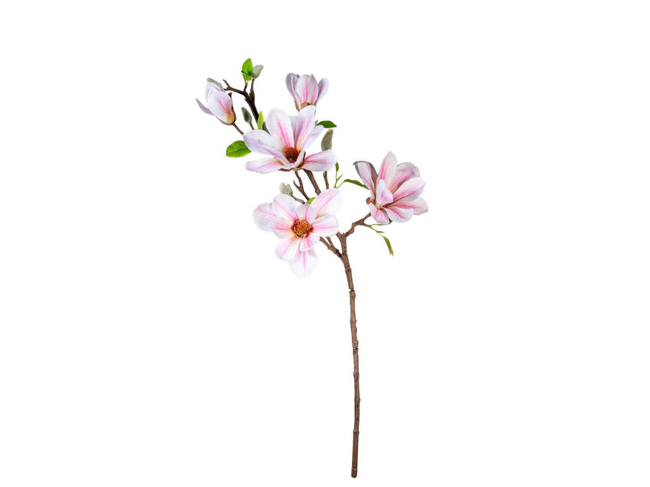 RAMO MAGNOLIA 75CM CREMA ROSA 18260028-92 RAMO MAGNOLIA 75CM CREMA ROSA 18260028-92
