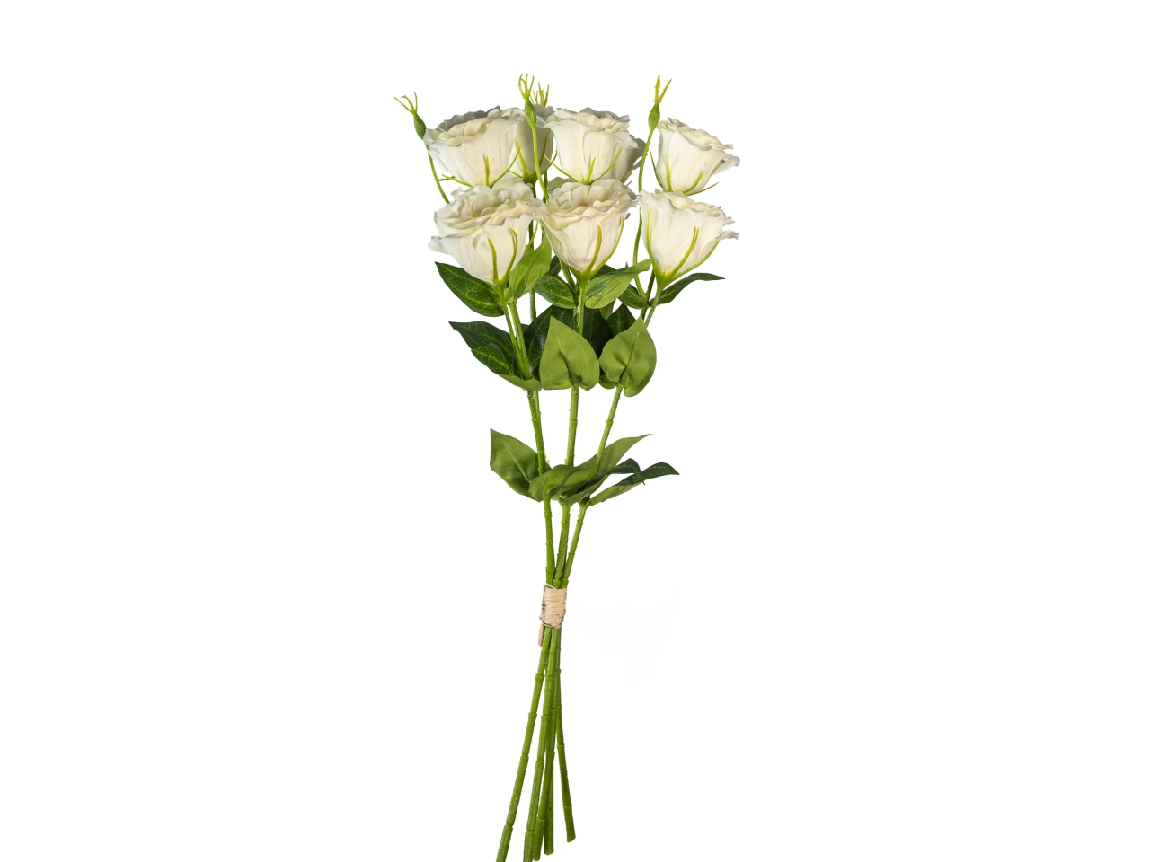 MAZZO LISY ANTHUS 50CM CREMA 2700338-10