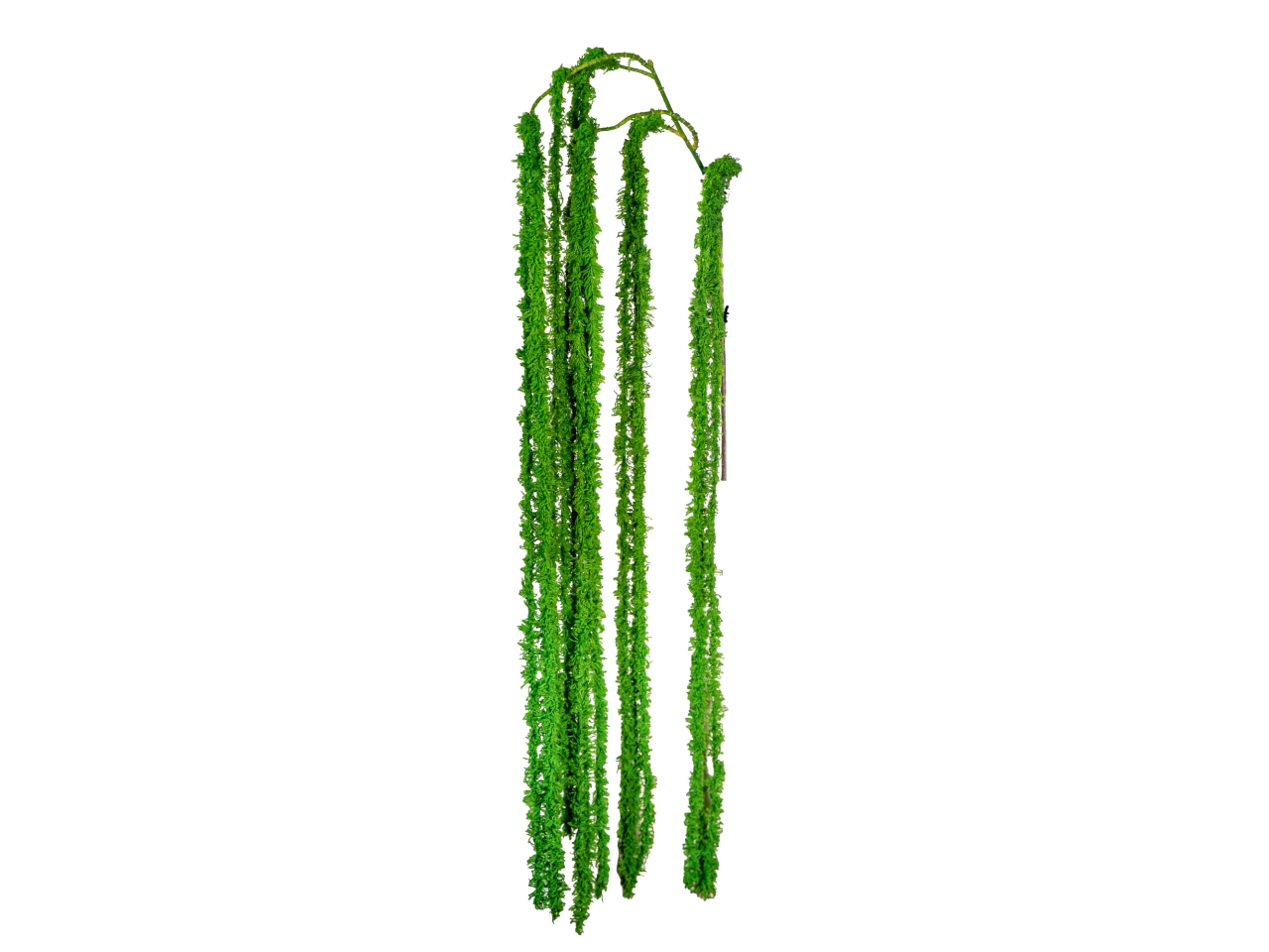 RAMO AMARANTO PENDENTE100CM VERDE CHIAR.2800030-02 RAMO AMARANTO PENDENTE100CM VERDE CHIAR.2800030-02