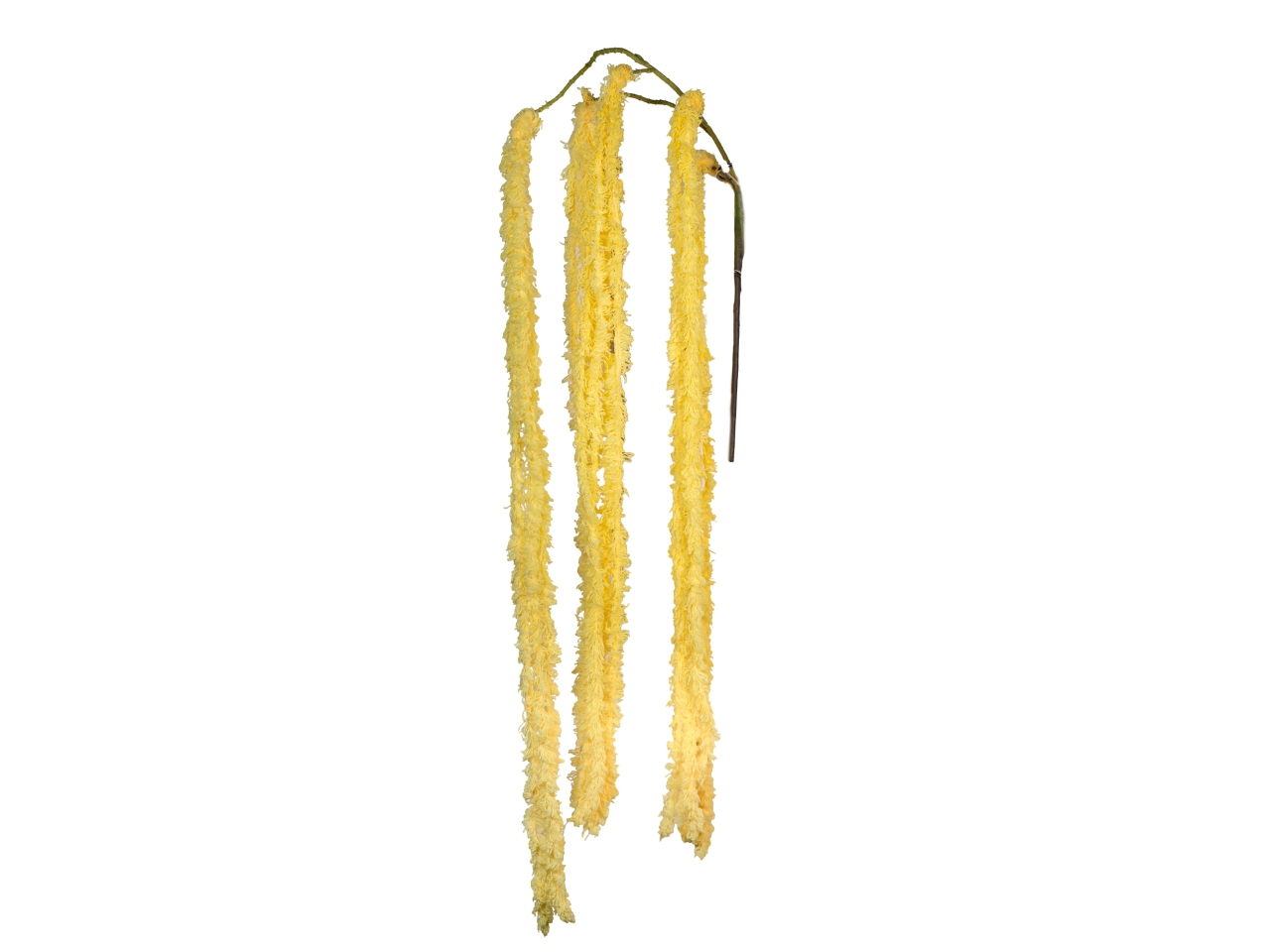 RAMO AMARANTO PENDENTE 100CM GIALLO 2800030-13 RAMO AMARANTO PENDENTE 100CM GIALLO 2800030-13