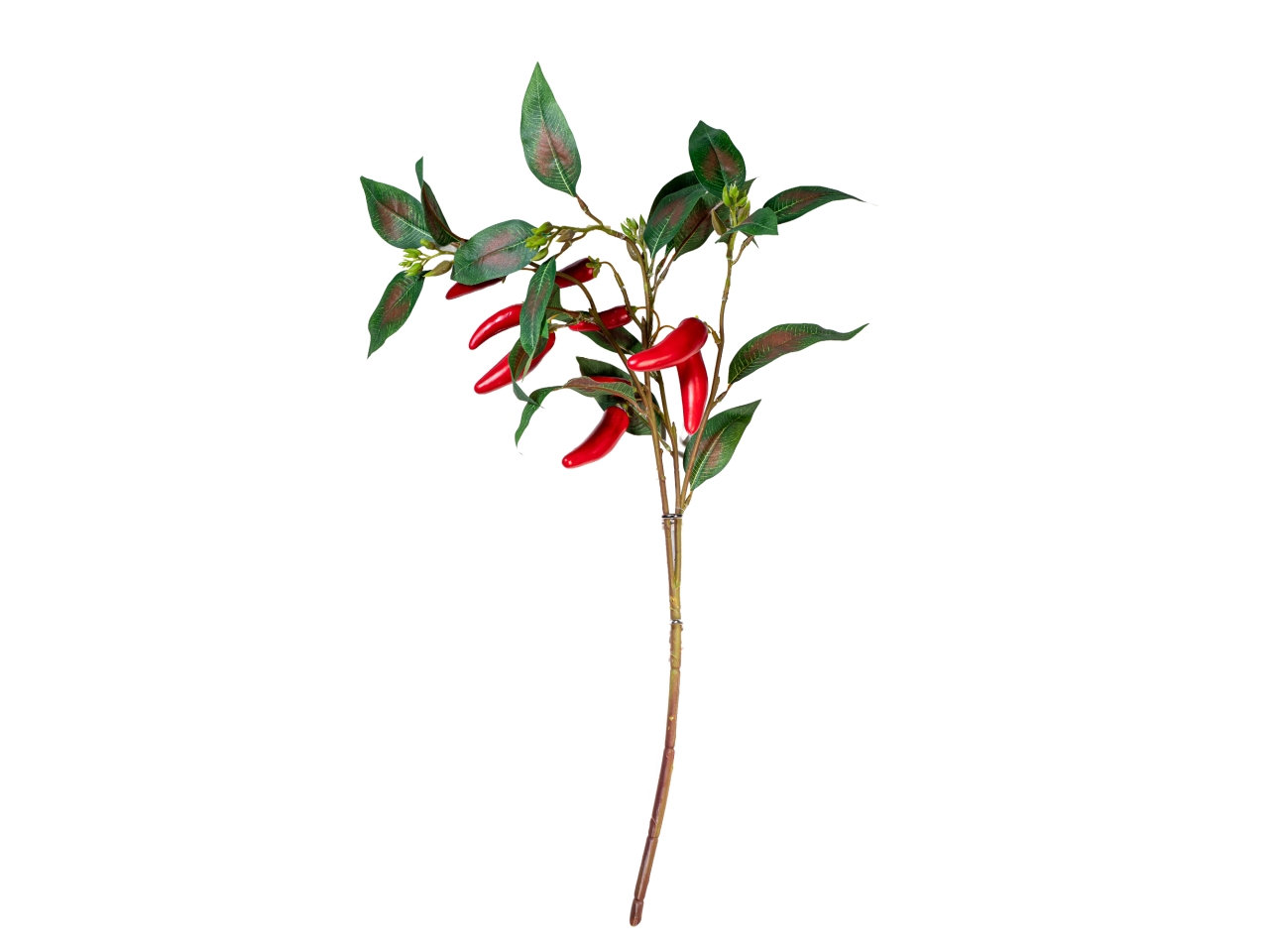 RAMO PEPERONCINO 70CM 2800033-03 RAMO PEPERONCINO 70CM 2800033-03