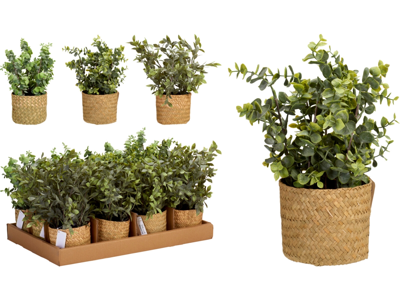 CESTA IN GIUNCO CON ERBA IN 3 ASS. 317355180 CESTA IN GIUNCO CON ERBA IN 3 ASS. 317355180