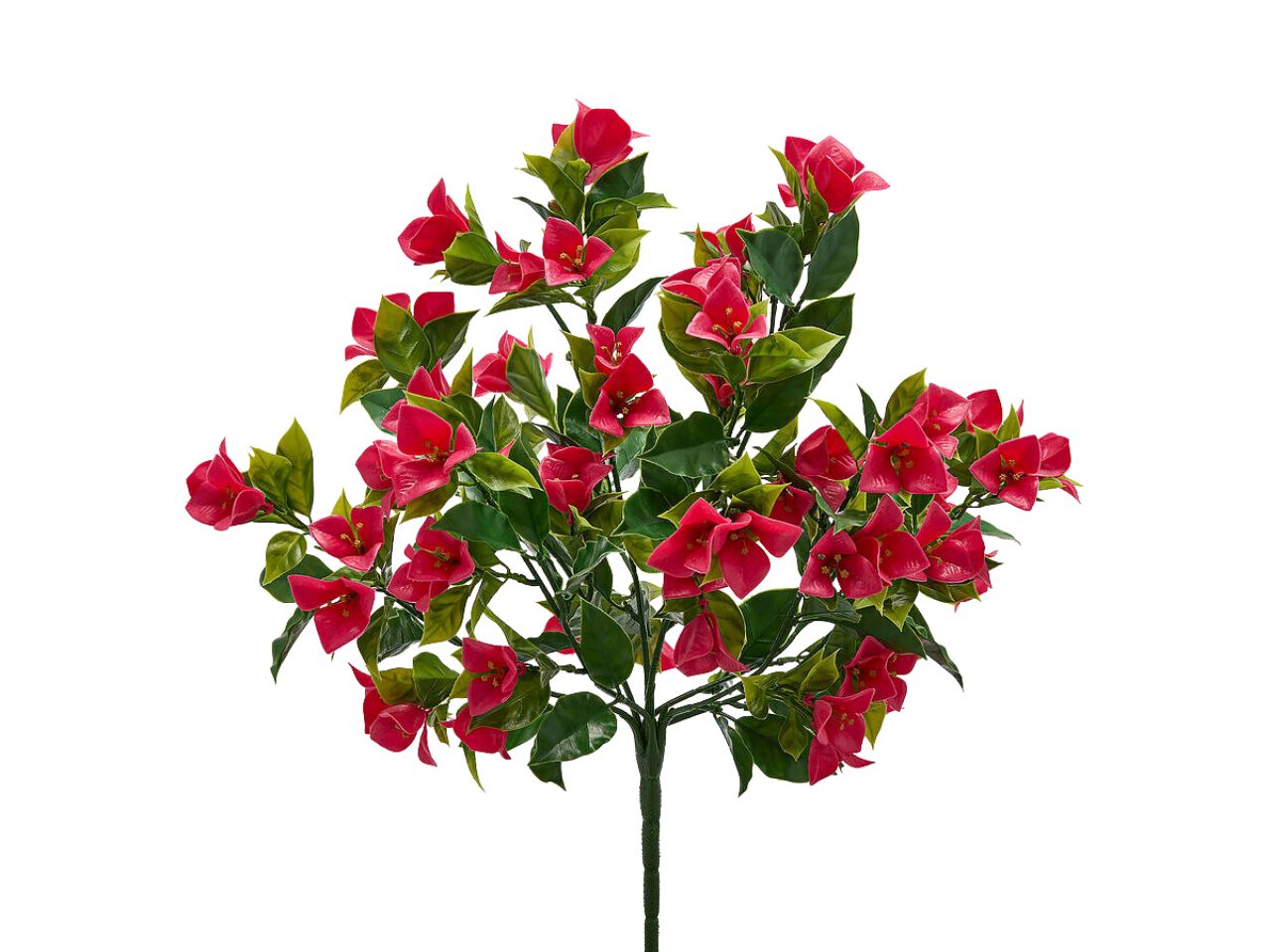 BOUGANVILLEA MAZZO 50CM 8 RAMI FUCSIA 2100676A559 BOUGANVILLEA MAZZO 50CM 8 RAMI FUCSIA 2100676A559