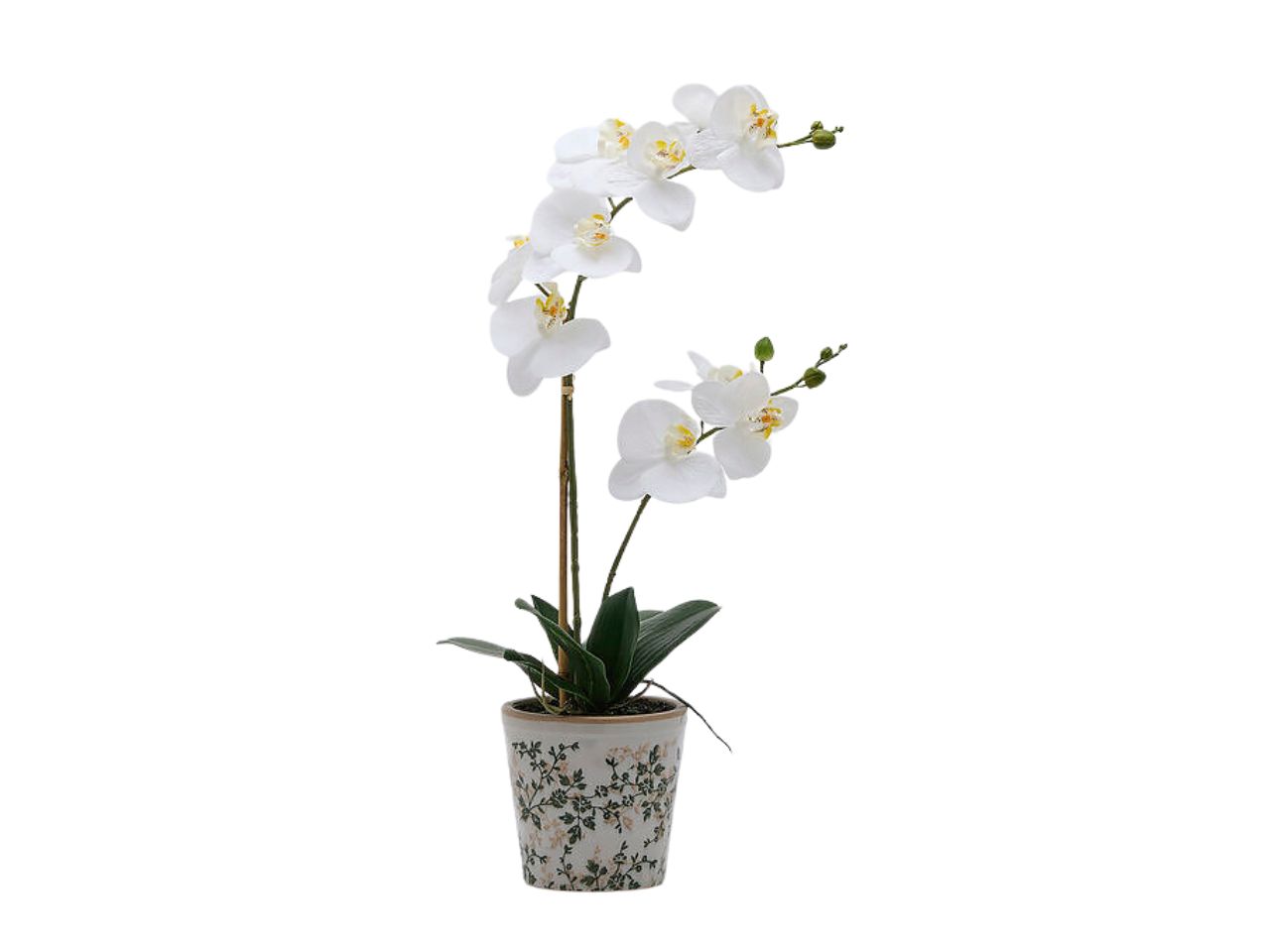 ORCHIDEA PHALAENOPSIS60CM C/VASO BIANCO2100717A100 ORCHIDEA PHALAENOPSIS60CM C/VASO BIANCO2100717A100